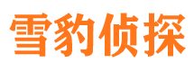 溆浦外遇出轨调查取证